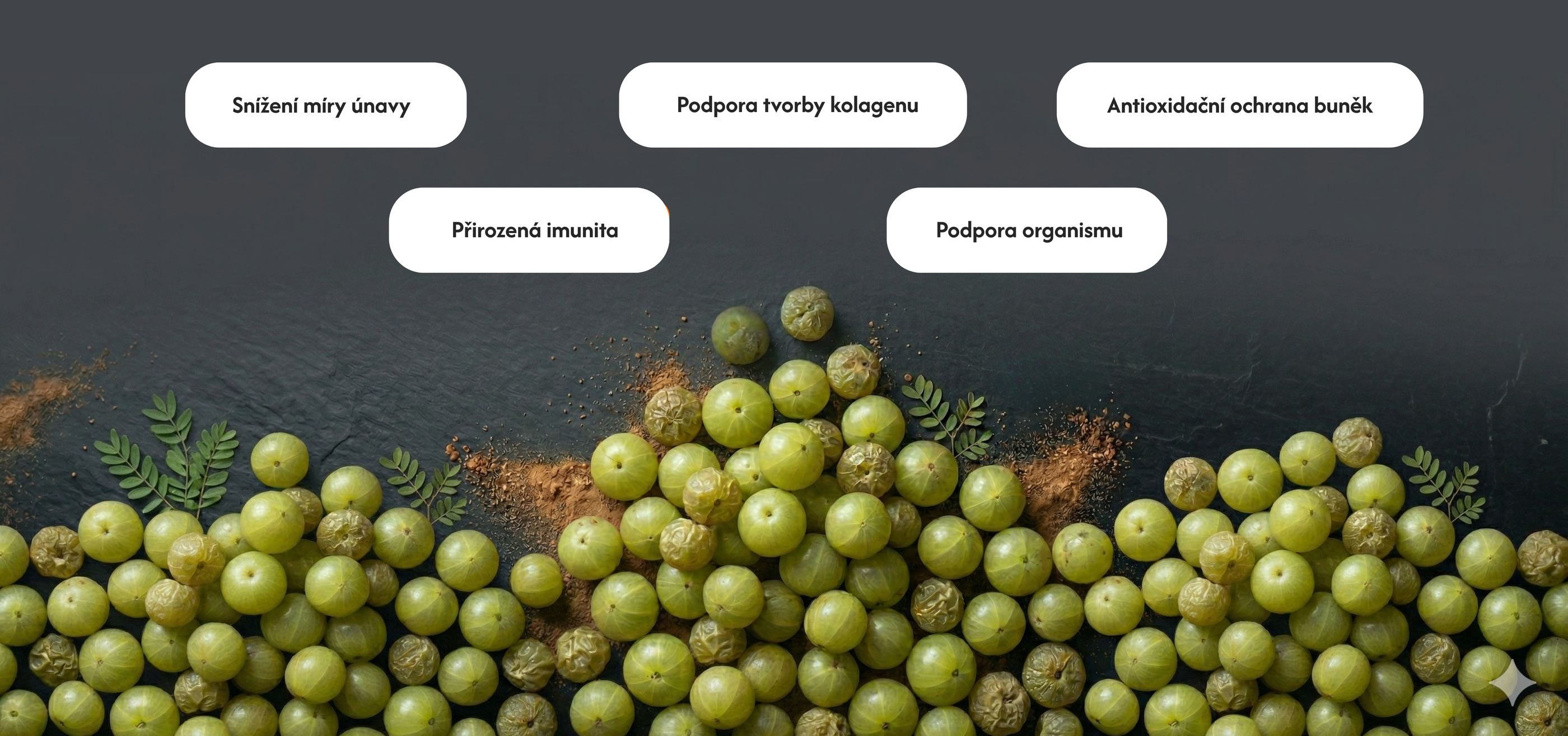 Čavanpraš (Chyawanprash), 500 g, Sattva