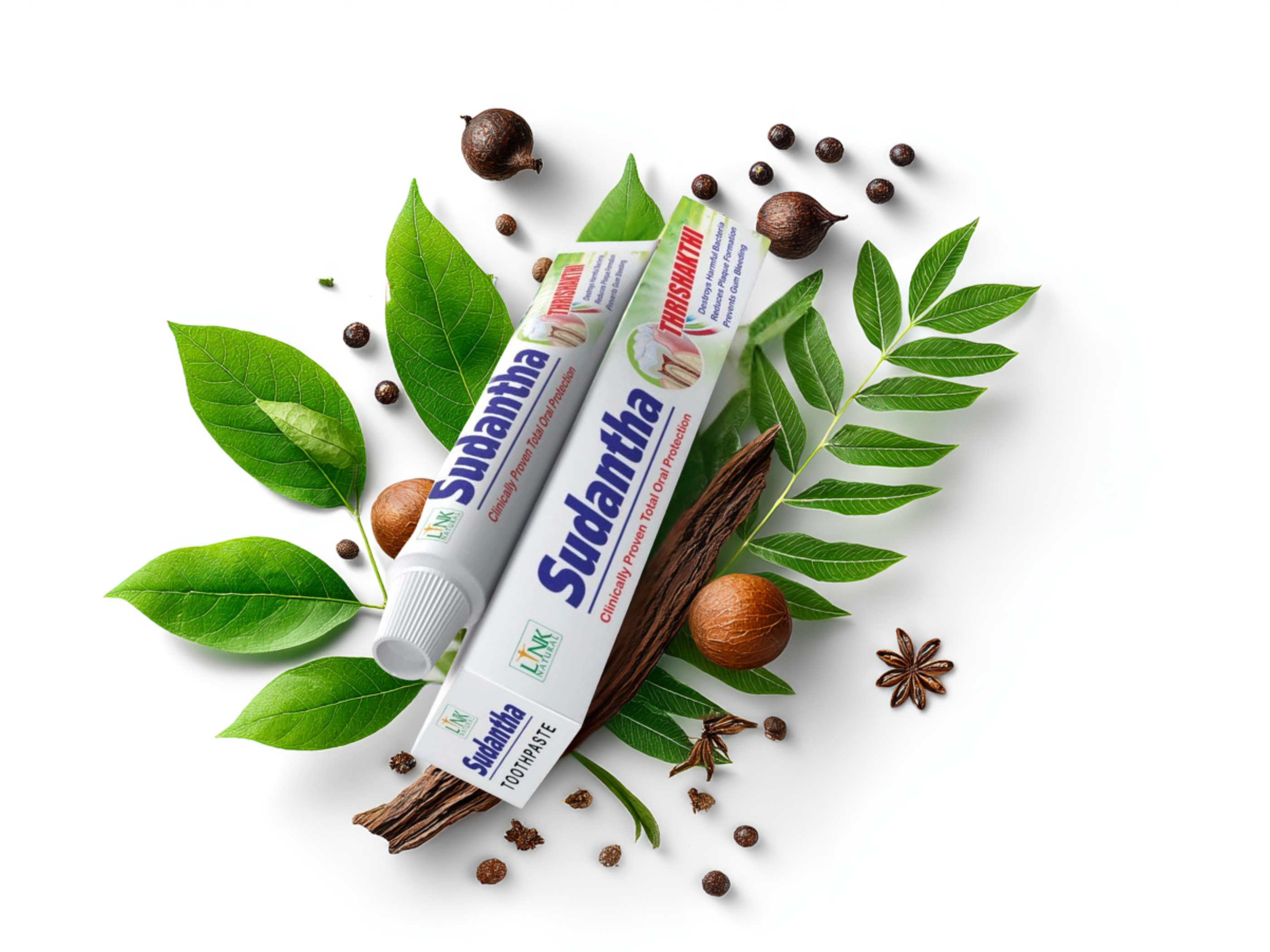 Zubní pasta Sudantha, 80 g, LINK