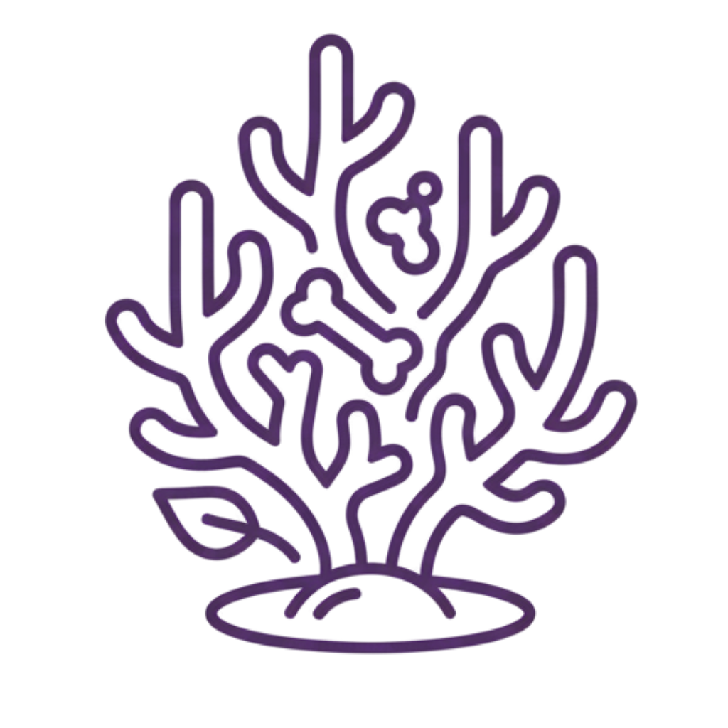 Calcio Care, 60 tablet, Maharishi Ayurveda