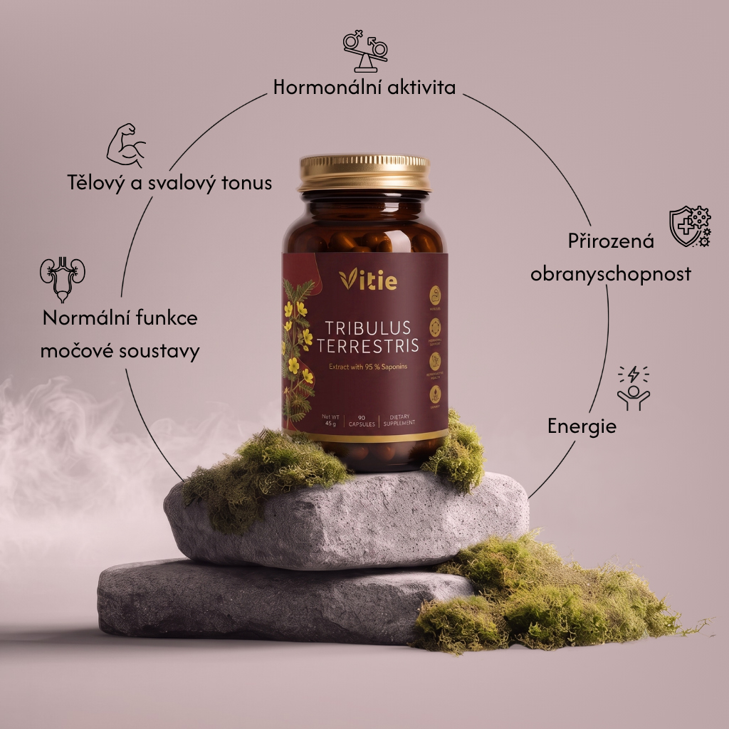 Kotvičník zemní (Tribulus) extrakt – 95 % saponinů, 90 kapslí, Vitie