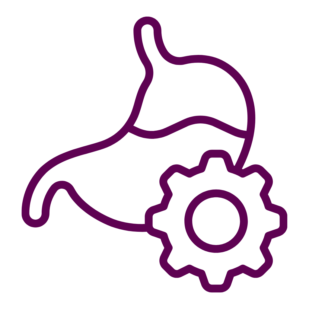 Livomap, 60 tablet, Maharishi Ayurveda