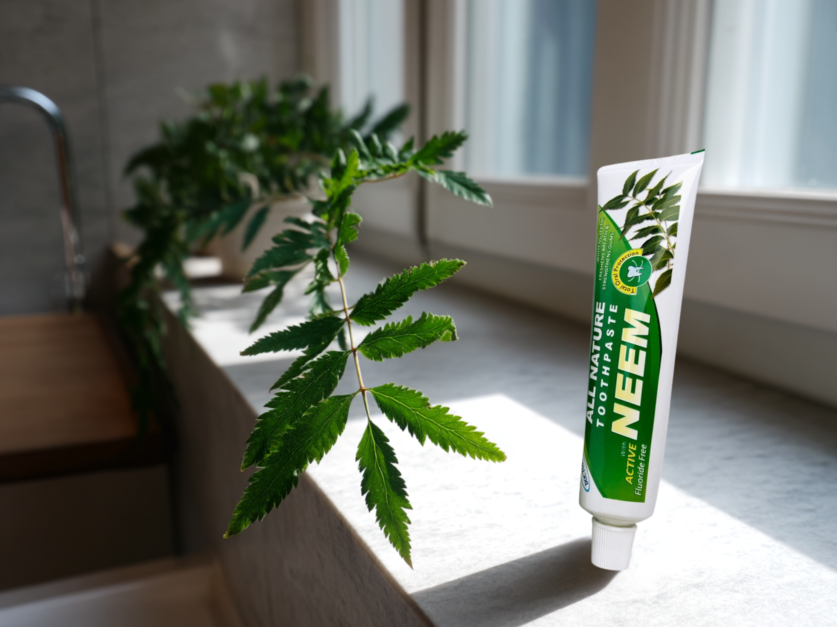 Zubní pasta neemová (dříve SAHUL), 100 g, Ayusri