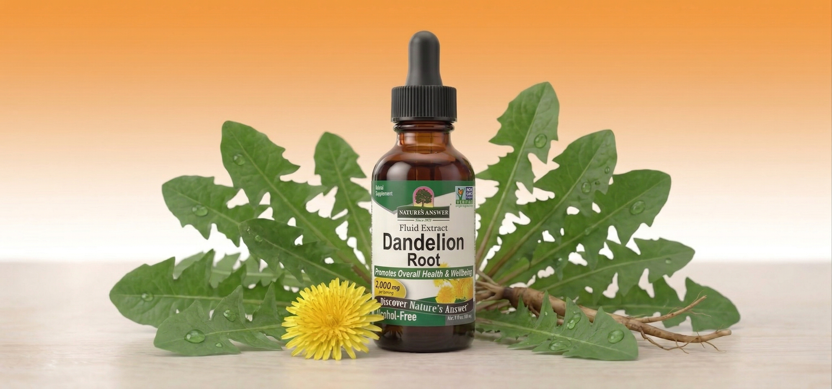 Pampeliška smetánka, bylinné kapky, 30 ml, Nature’s Answer