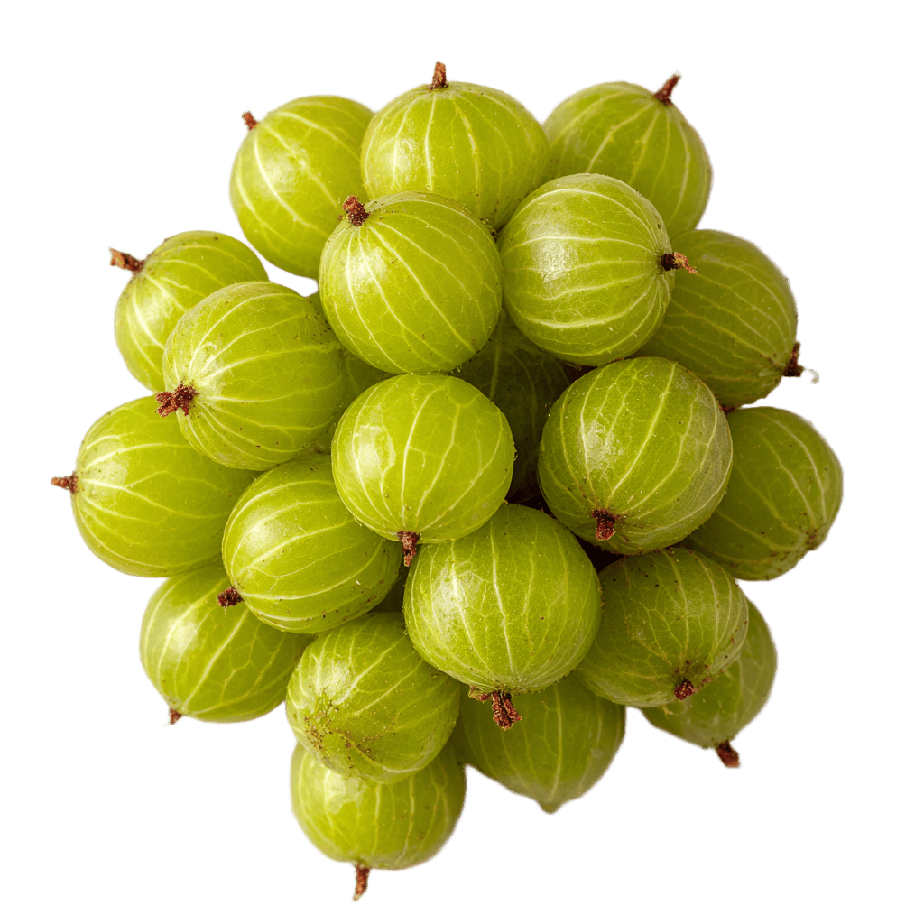 Ayur Multimineral, 60 tablet, Maharishi Ayurveda