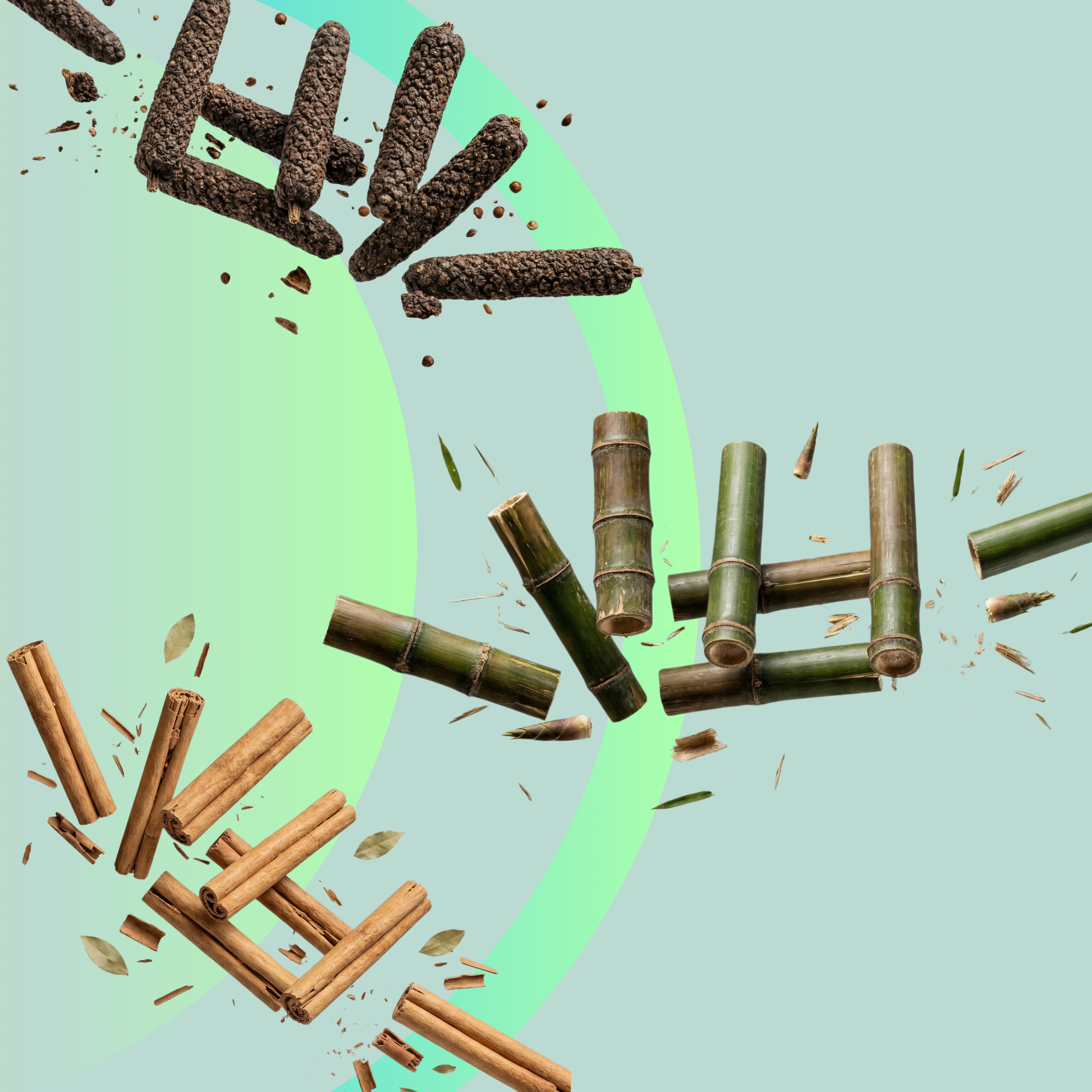 Čavanpraš original (Chyavanprash), 450 g, Maharishi Ayurveda