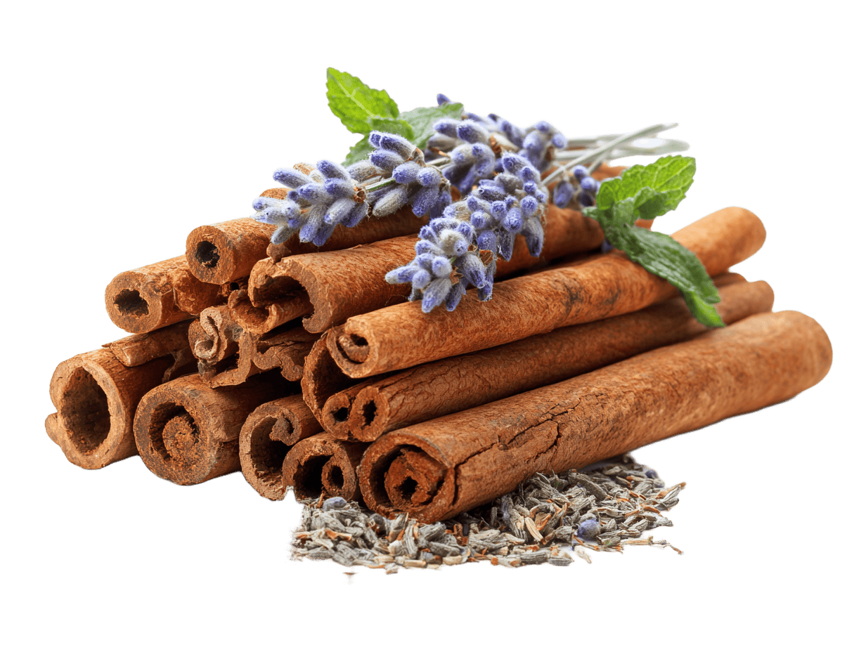 BIO čaj MIX Prvotřídní jakost, 20 sáčků, English Tea Shop