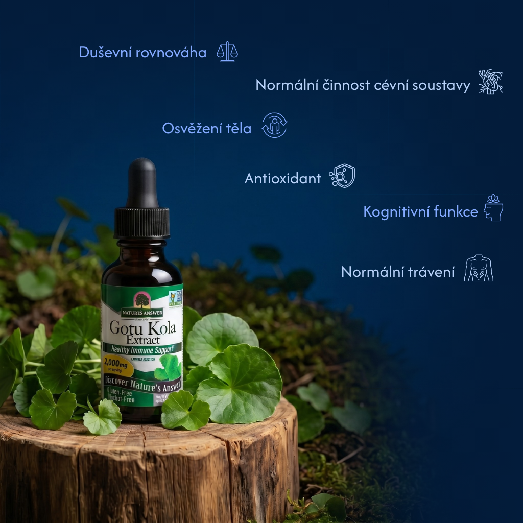 Gotu Kola, bylinné kapky, 30 ml, Nature's Answer