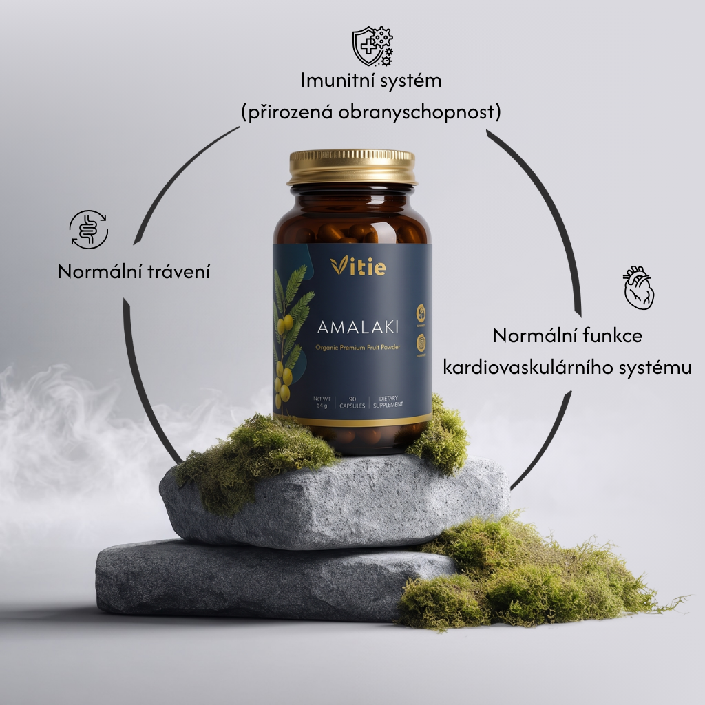 BIO Amalaki (Amla), 90 kapslí, Vitie