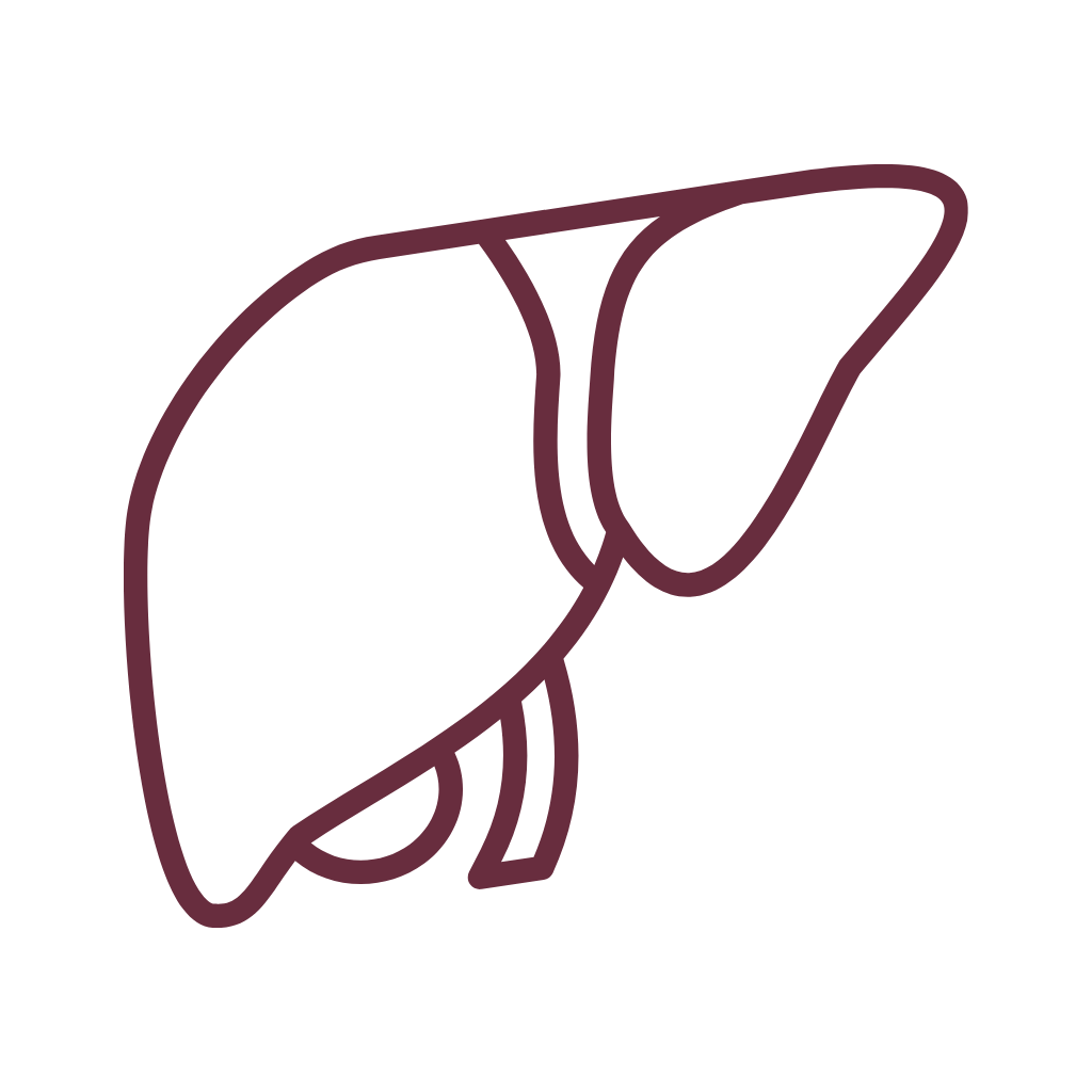 Pampeliška smetánka, bylinné kapky, 30 ml, Nature’s Answer