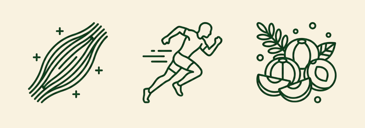 Infografika působení Sport Rasayana na stres a regeneraci