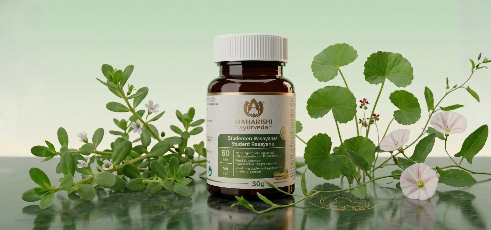 Student Rasayana, 60 tablet, Maharishi Ayurveda