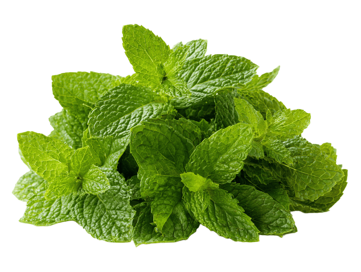 BIO kolekce 5 bylinných čajů, 20 sáčků, Pukka Herbs