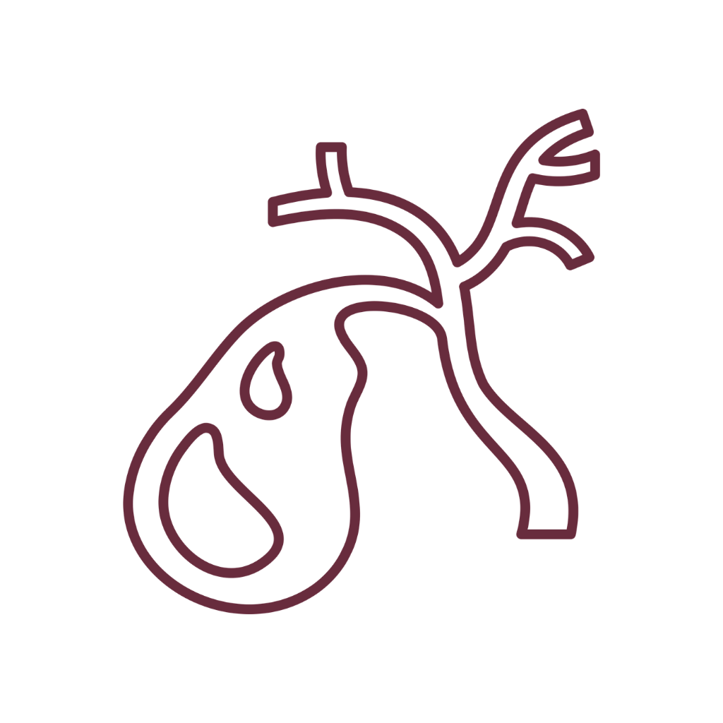 Pampeliška smetánka, bylinné kapky, 30 ml, Nature’s Answer