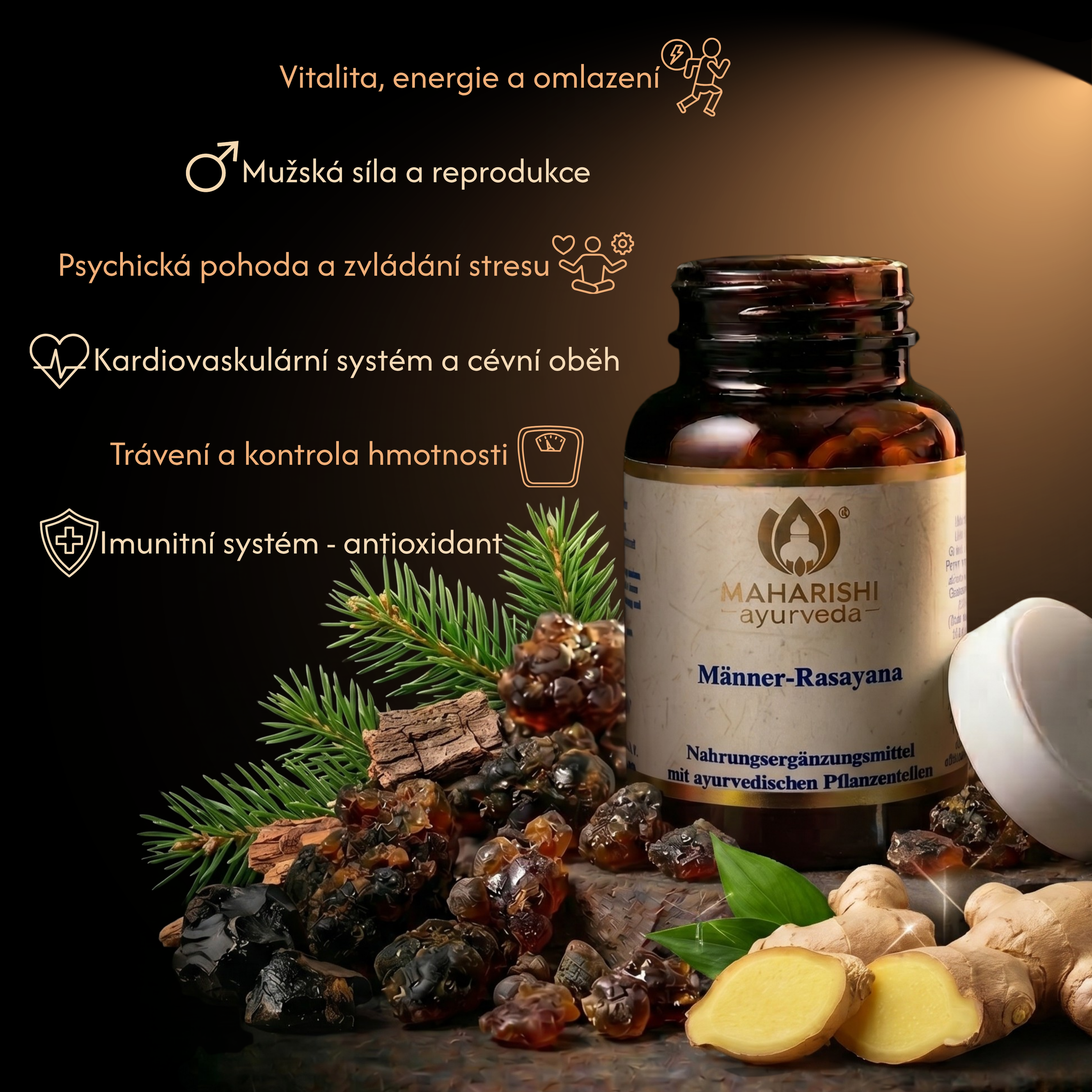 Men's Rasayana, 60 tablet, Maharishi Ayurveda