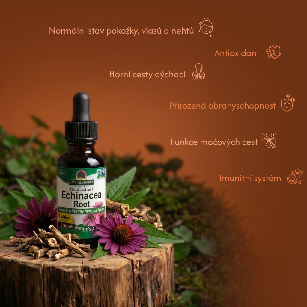 Echinacea (Třapatka nachová), bylinné kapky, 30 ml, Nature's Answer