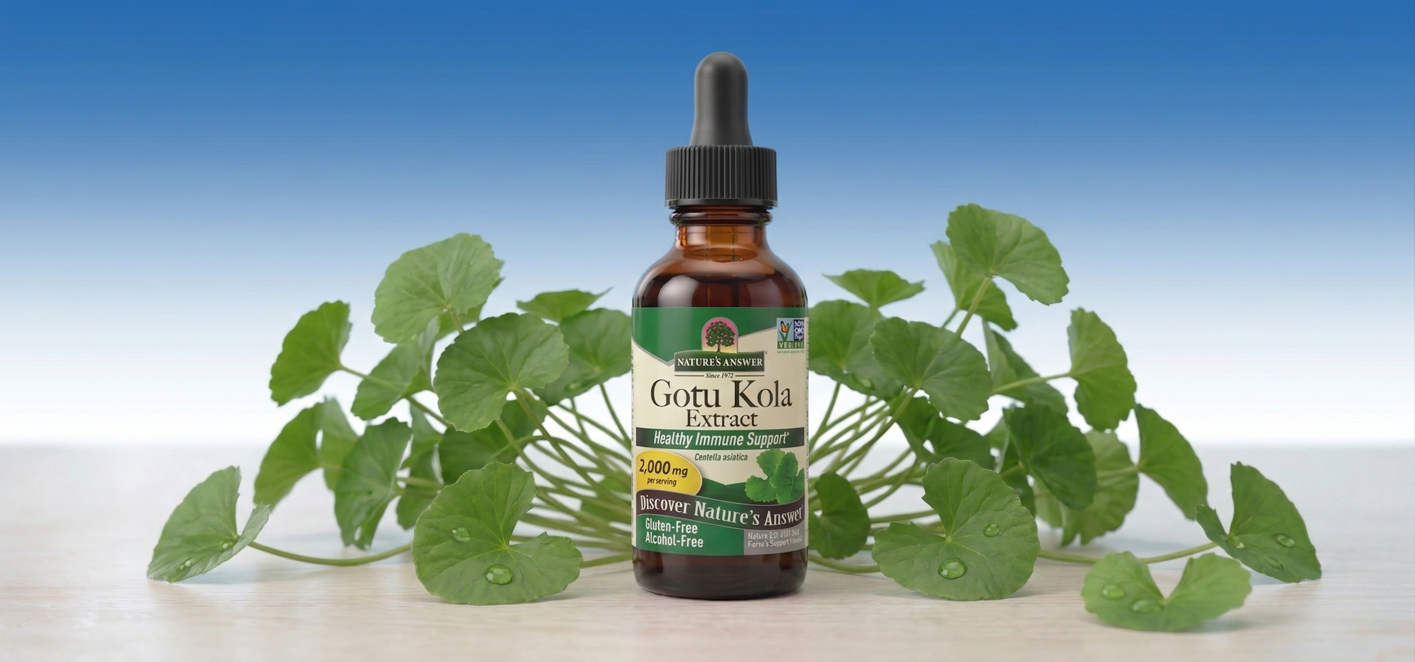 Gotu Kola, bylinné kapky, 30 ml, Nature's Answer
