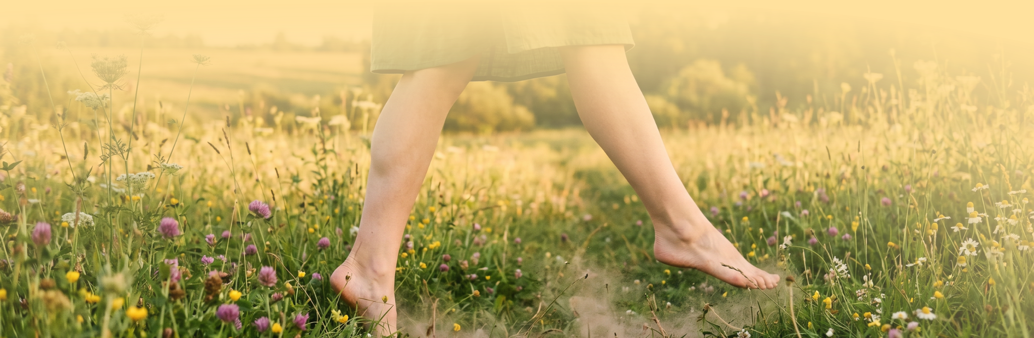 Gotu Kola, bylinné kapky, 30 ml, Nature's Answer