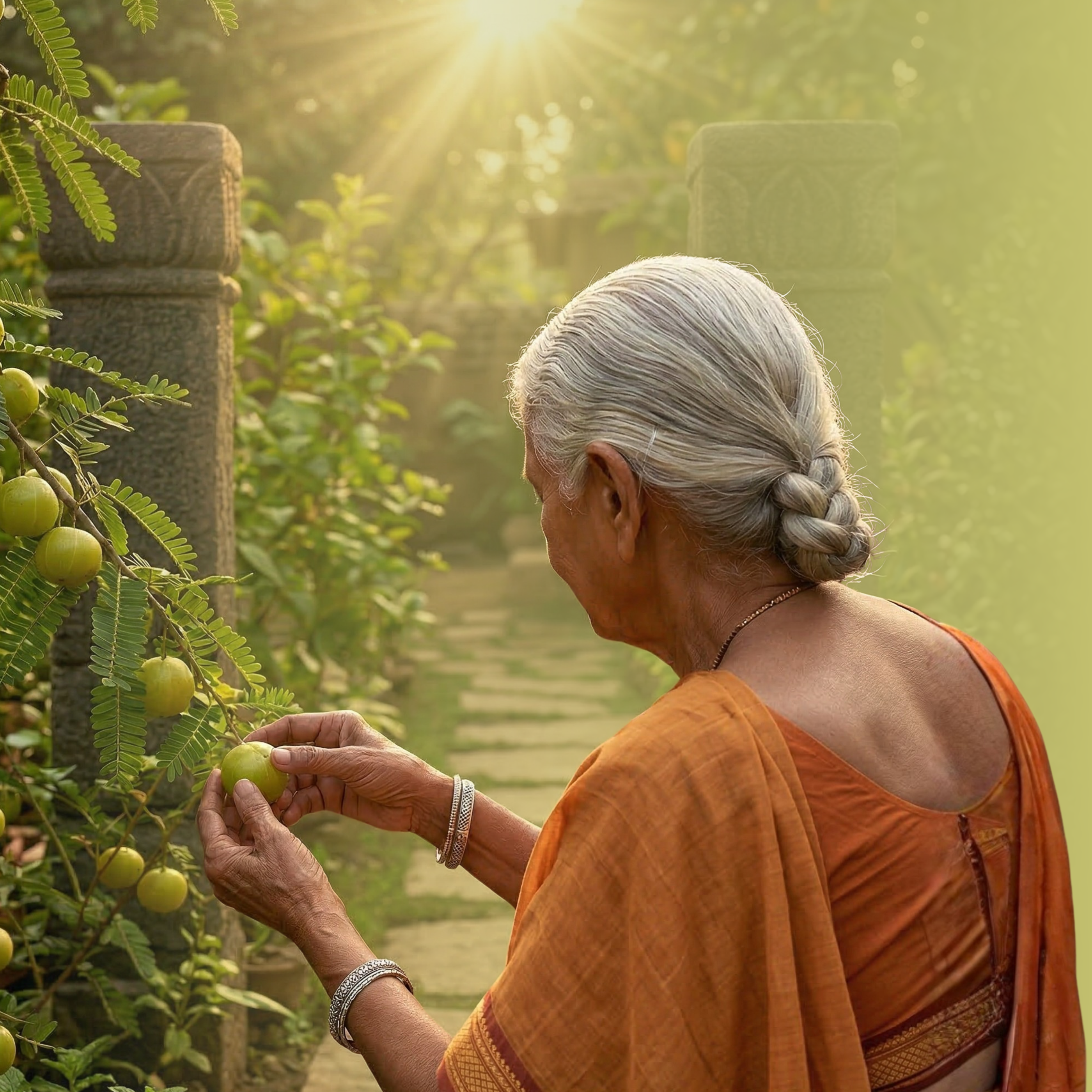 Čavanpraš (Chyawanprash), 500 g, Sattva