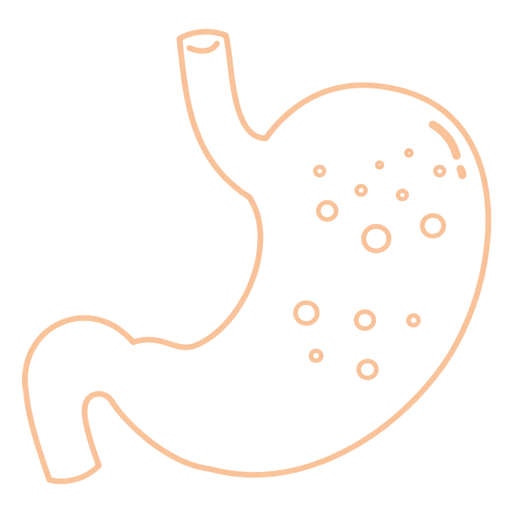 BIO Amalaki, 60 tablet, Maharishi Ayurveda