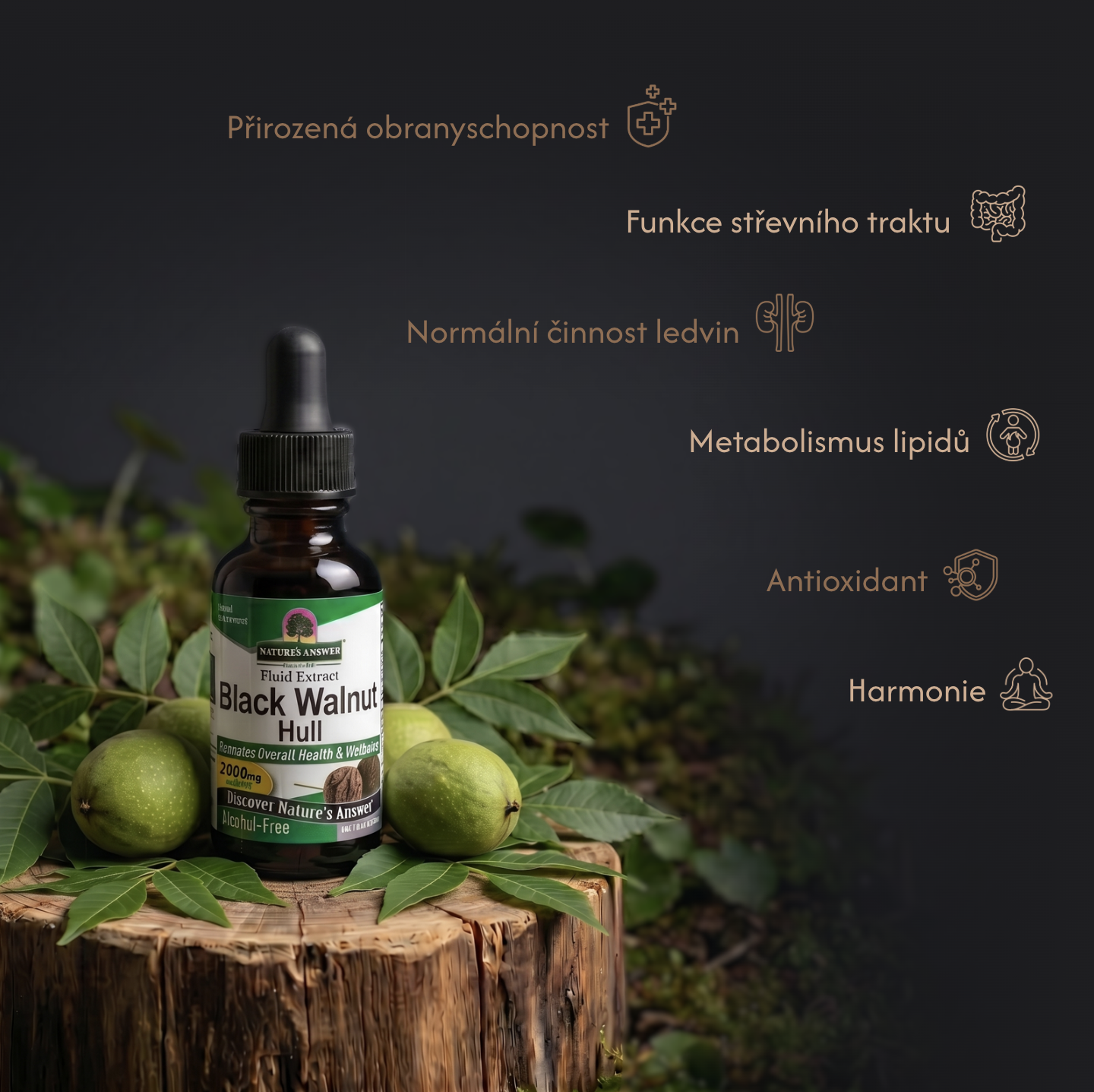 Ořešák černý kapky, 30 ml, Nature’s Answer