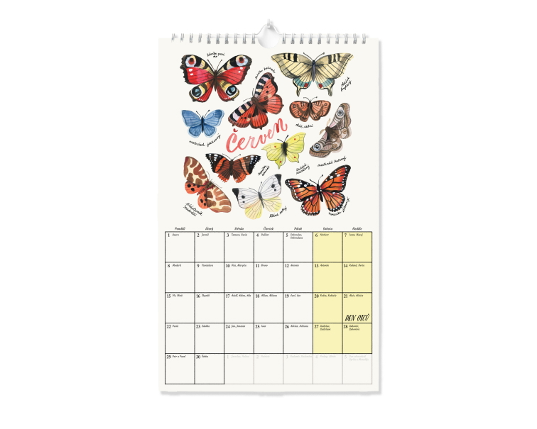 Nástěnný kalendář Encyklopedie 2026 - ilustrovaný