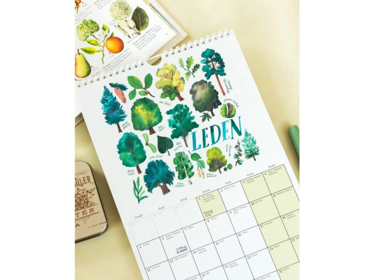 SET Nástěnný kalendář 2026 + Diář 2026