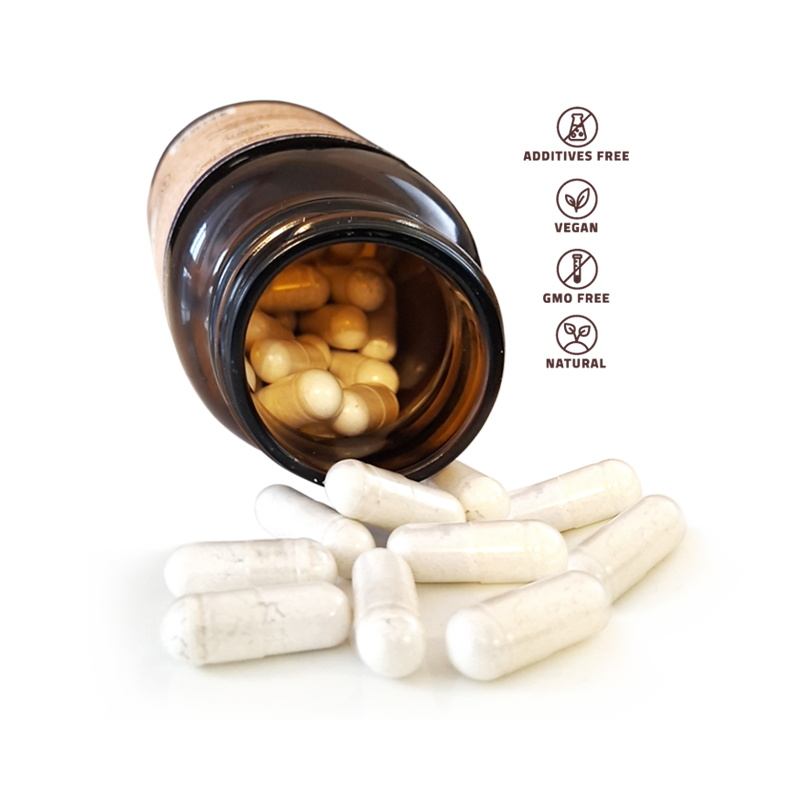 Probiotiká plus vláknina