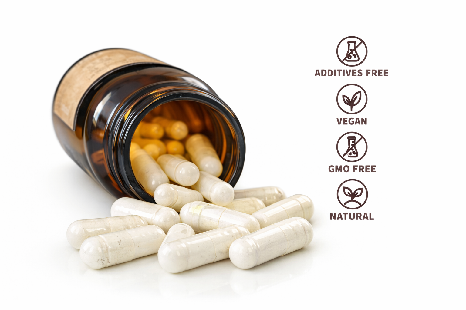 Moringa premium / eko balenie 60+14 kapsúl