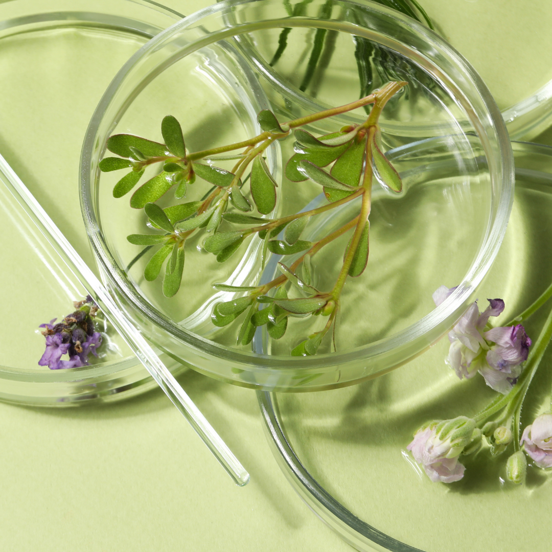 Back to me: supplements