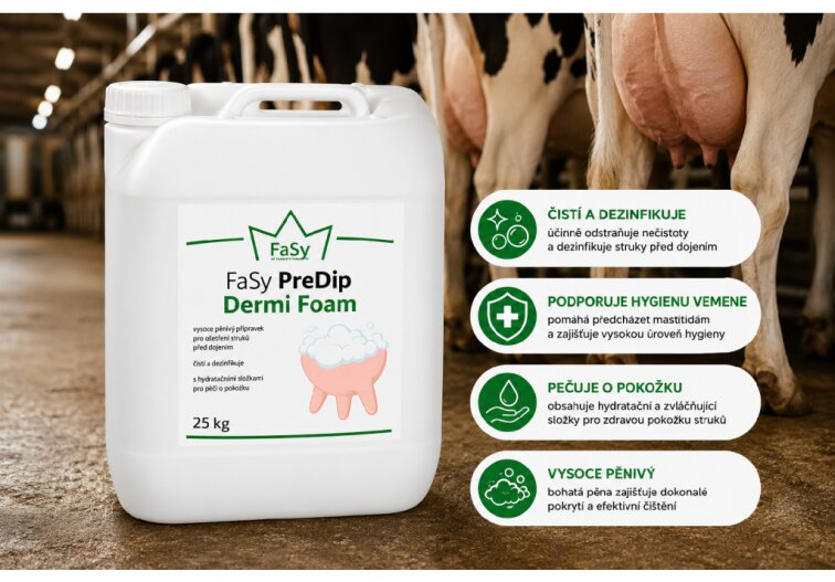FaSy Pre - Dip Dermi Foam