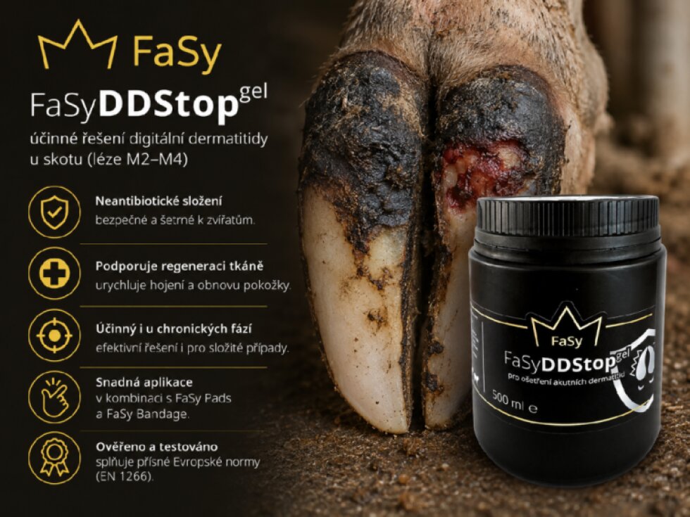 FaSy DD Stop Gel