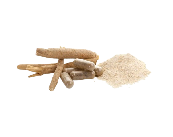 Herbs Energy Ashwagandha – extrakt z kořene 800 mg, 90 kapslí