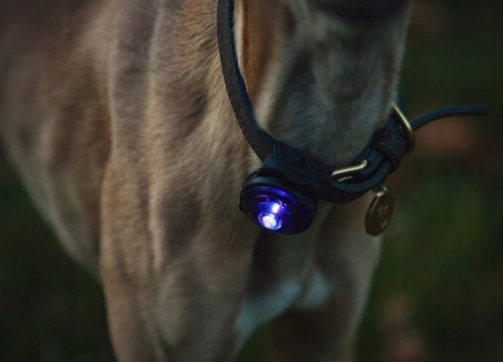 Orbiloc Safety Light - bezpečnostní světlo