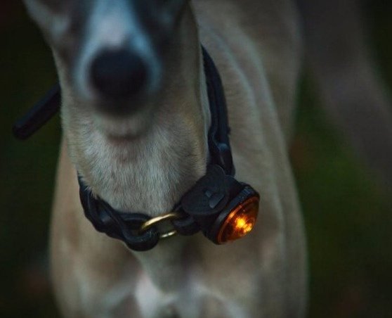 Orbiloc Safety Light - bezpečnostní světlo