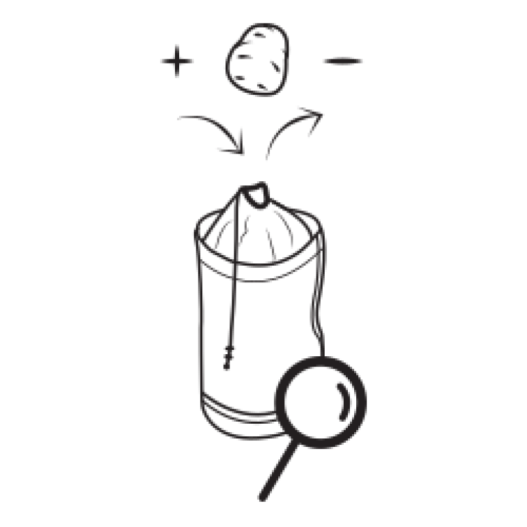 Zembag pytel hnědý na 10 kg brambor + 4 kmínové pytlíky