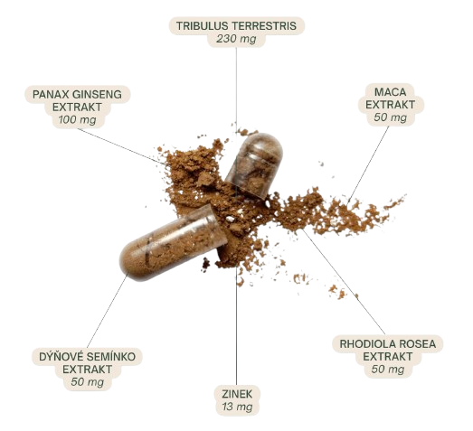 Herbalus Testosteronus, 60 kapslí