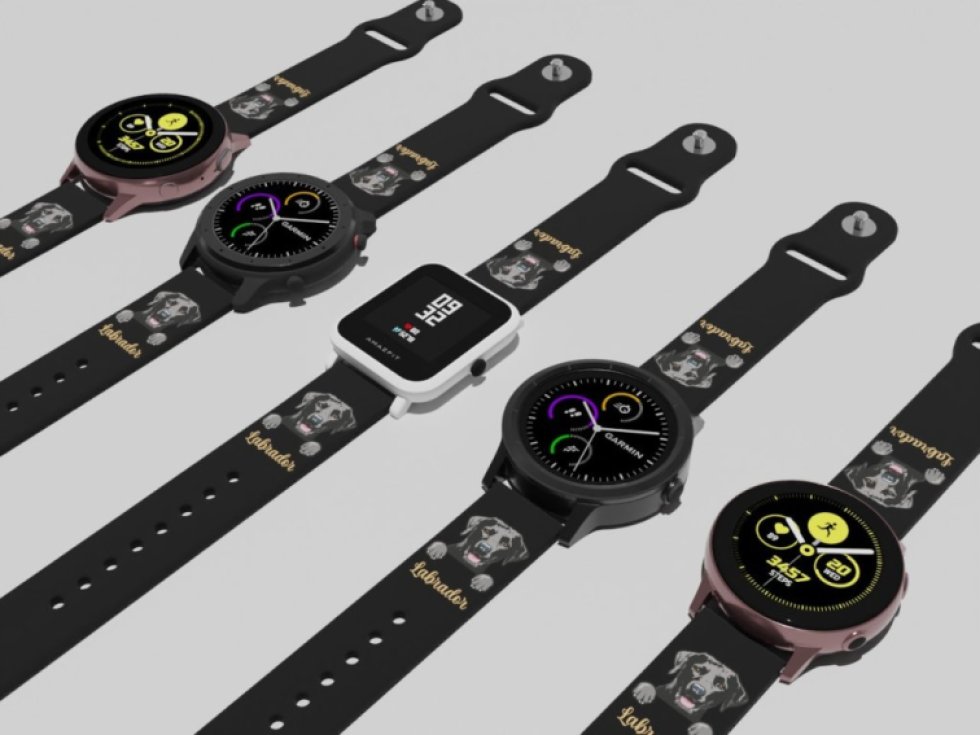 Labradorský retrívr řemínek 20 mm