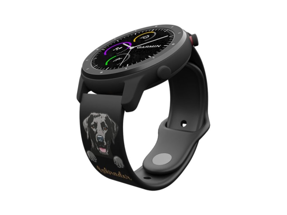 Labradorský retrívr řemínek 22 mm