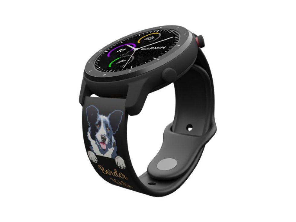 Border kolie řemínek 20 mm