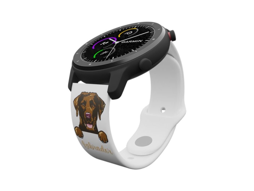 Hnědý labrador řemínek 20 mm