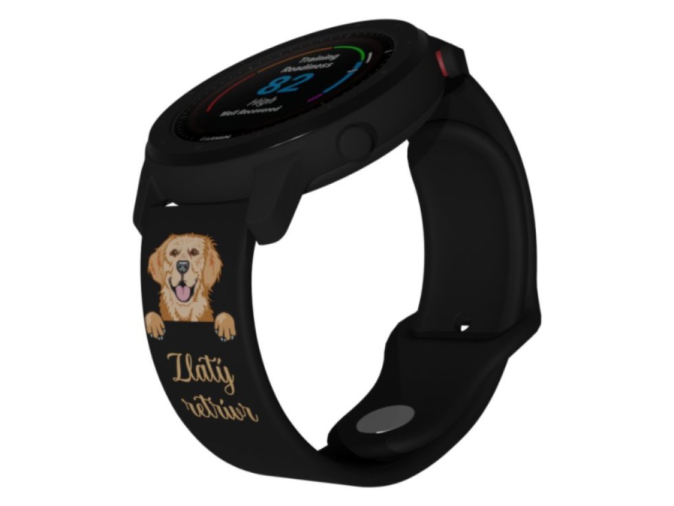 Zlatý retrívr řemínek 20 mm