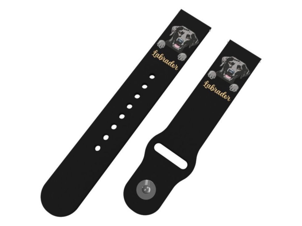 Labradorský retrívr řemínek 22 mm