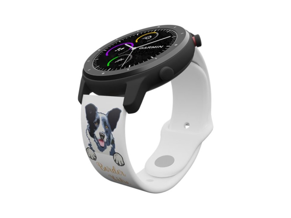 Border kolie řemínek 22 mm