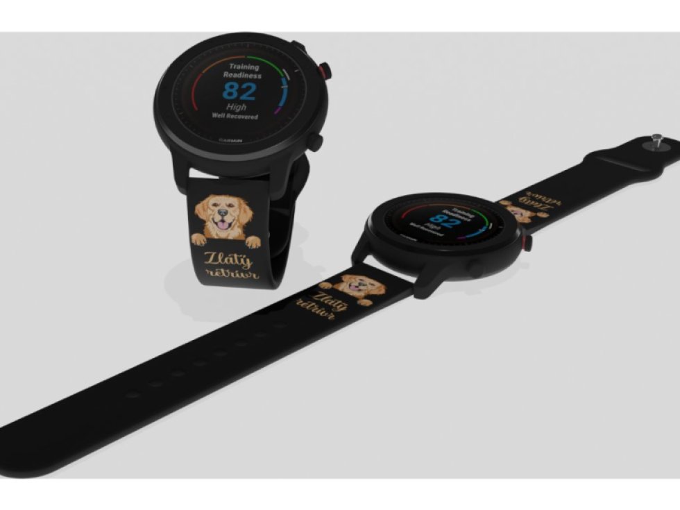 Zlatý retrívr řemínek 20 mm