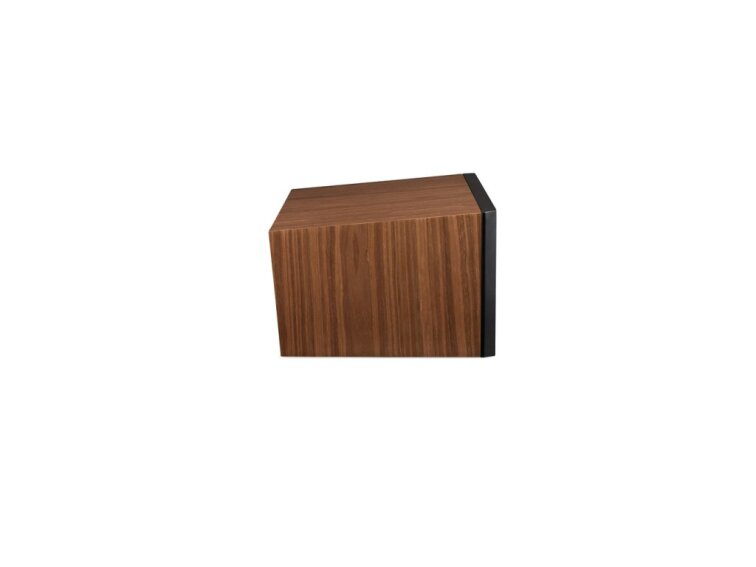 Martin Logan Motion C10 Walnut