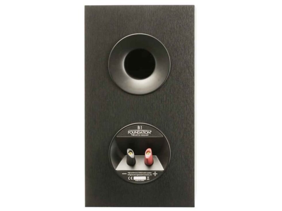 Martin Logan Motion Foundation B1