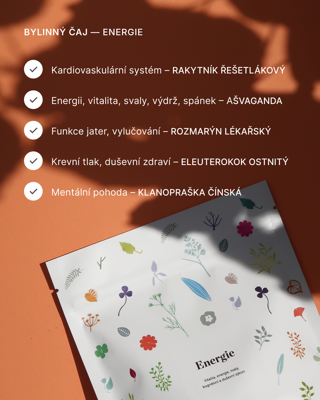 Bylinný čaj Energie (Vitalita)