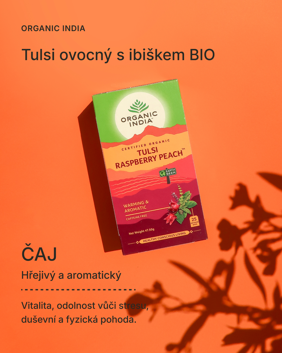 Tulsi ovocný s ibiškem BIO, 25 sáčky