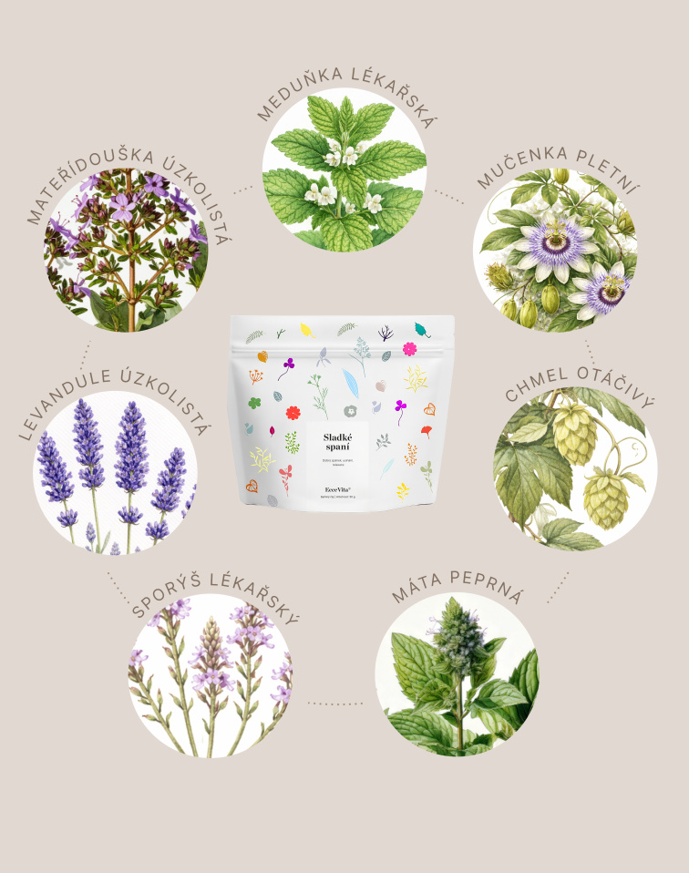 Bylinný čaj Sladké spaní