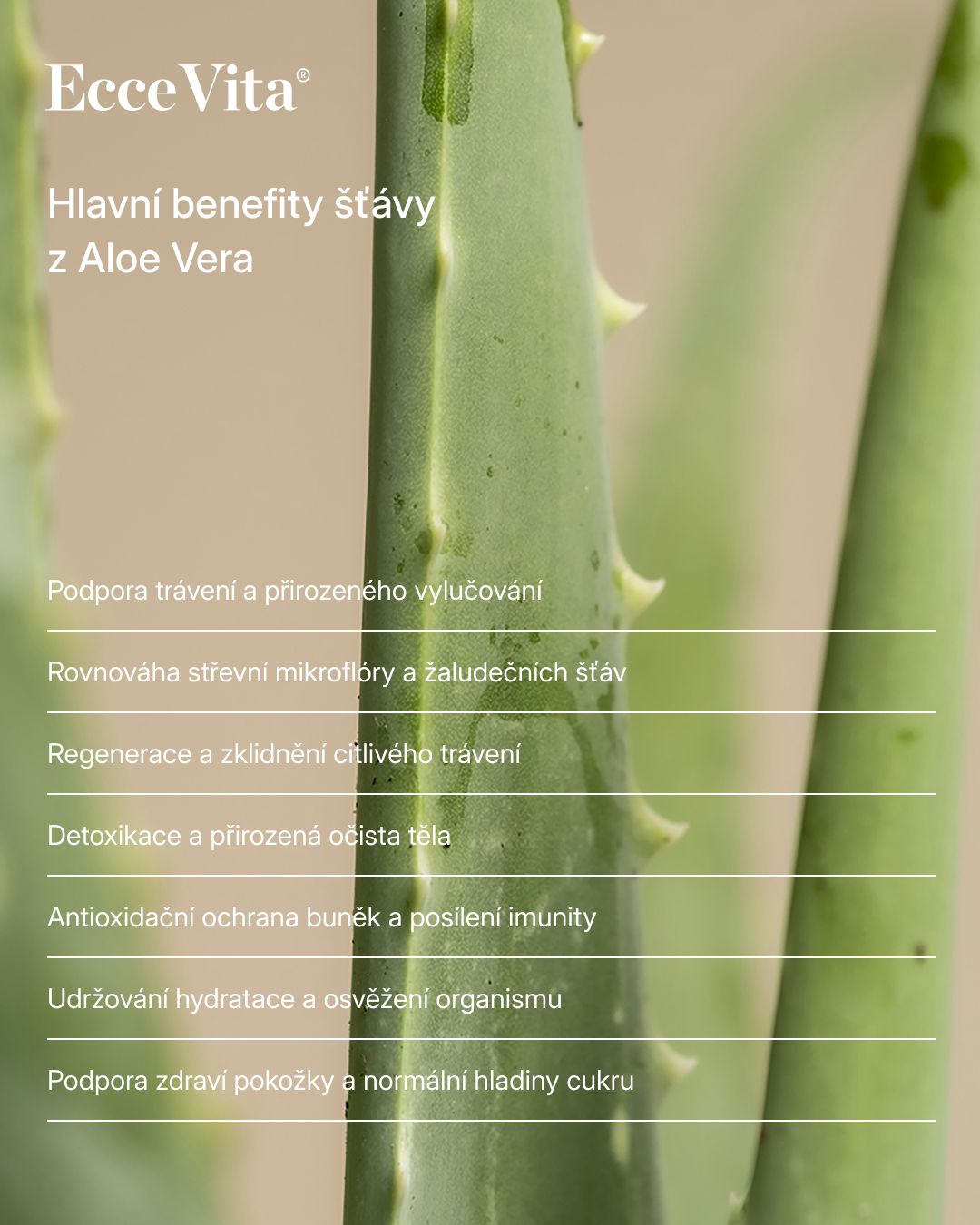 Organic Aloe Vera 1 l